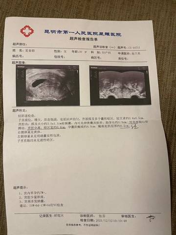 journal_insert_pic_1681107866