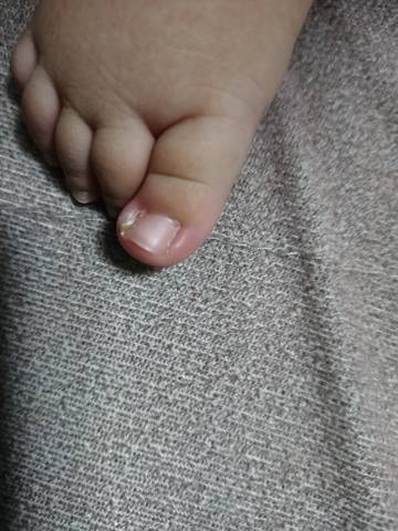 journal_insert_pic_1674424809