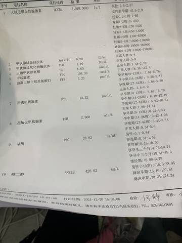 journal_insert_pic_1683140263