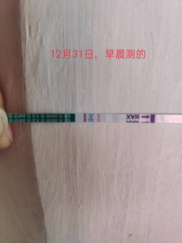 journal_insert_pic_1689569010