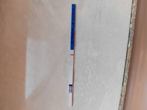 journal_insert_pic_1690249632