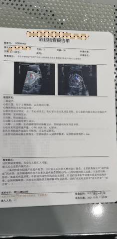 journal_insert_pic_1686339888