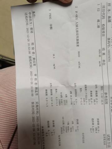 journal_insert_pic_1687412682