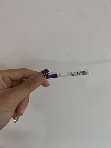 journal_insert_pic_1719493761