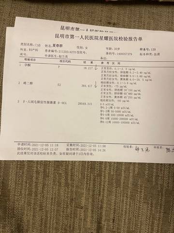 journal_insert_pic_1681107879