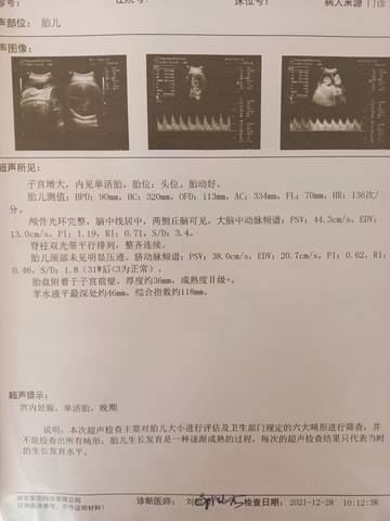 journal_insert_pic_1689029523