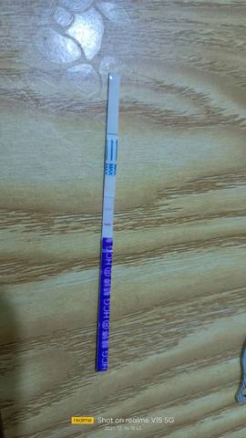 journal_insert_pic_1680080104