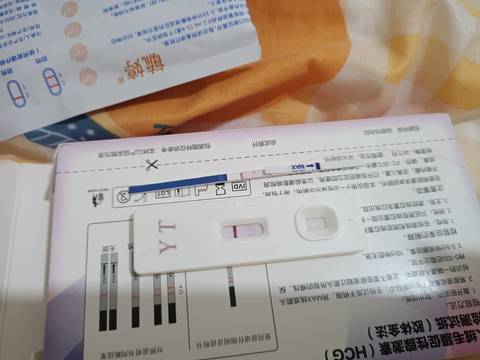 journal_insert_pic_1684437380