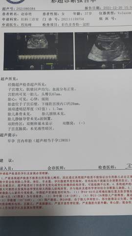 journal_insert_pic_1683223151
