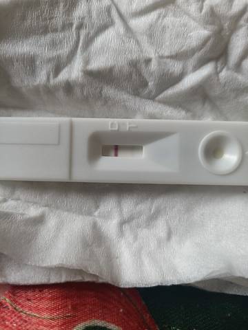 journal_insert_pic_1685798439