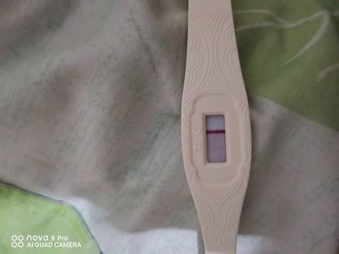 journal_insert_pic_1678705350