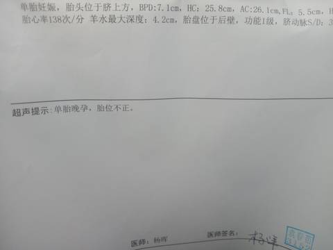 journal_insert_pic_1741067305