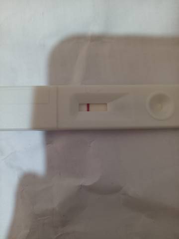 journal_insert_pic_1684013729