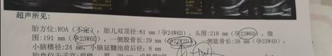 journal_insert_pic_1686680873