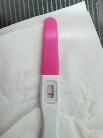 journal_insert_pic_1683430455