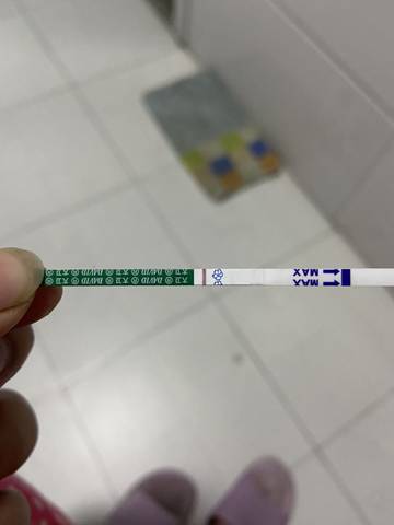 journal_insert_pic_1686572896