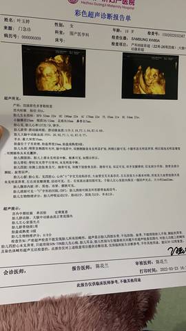 journal_insert_pic_1741130762