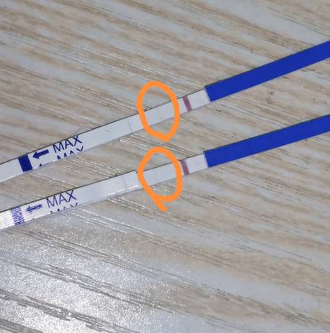 journal_insert_pic_1719680934