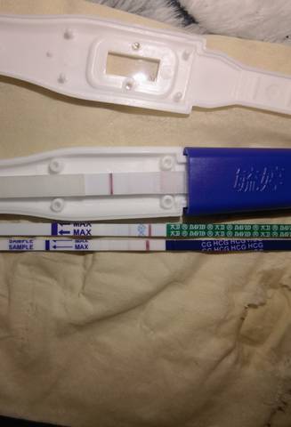 journal_insert_pic_1684016806