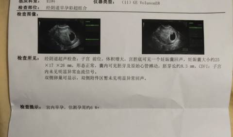 journal_insert_pic_1689942275