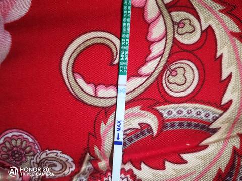 journal_insert_pic_1677172408