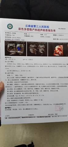 journal_insert_pic_1685638406