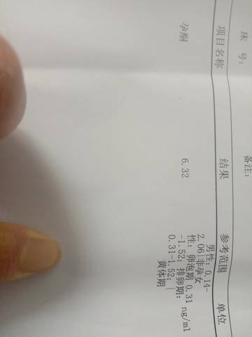 journal_insert_pic_1689067310