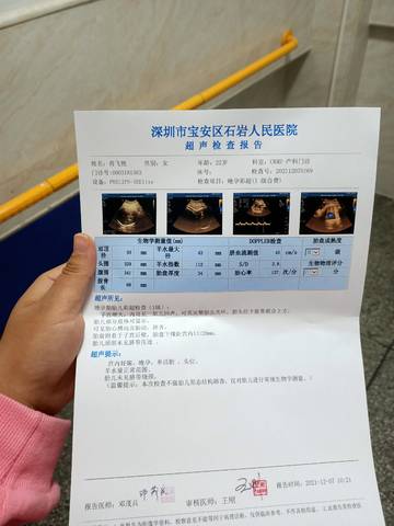 journal_insert_pic_1675582690