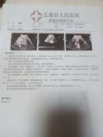 journal_insert_pic_1681334466
