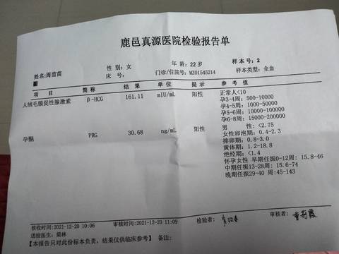 journal_insert_pic_1684309039