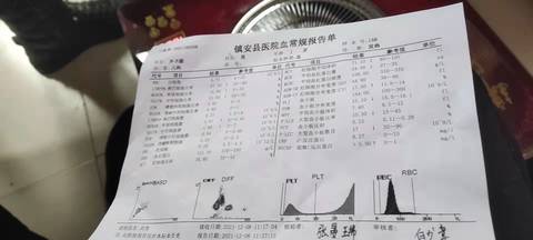 journal_insert_pic_1678255178