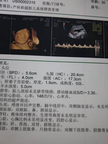journal_insert_pic_1676908663
