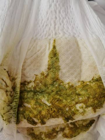 journal_insert_pic_1685457002