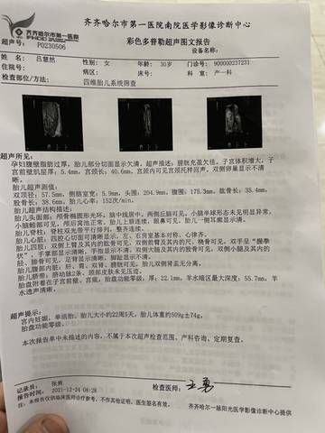 journal_insert_pic_1685153836