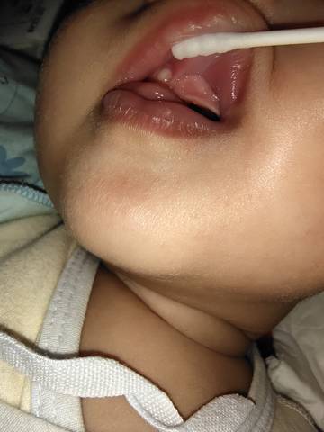 journal_insert_pic_1678731281