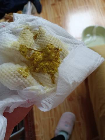 journal_insert_pic_1688194218