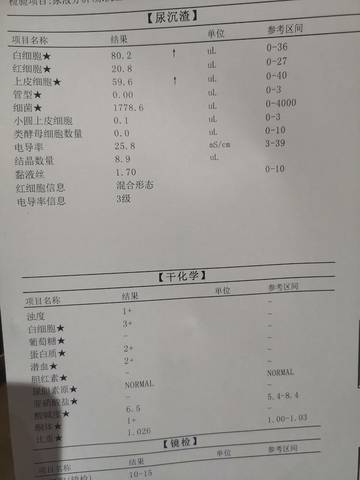 journal_insert_pic_1677359088