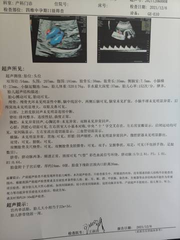 journal_insert_pic_1677012244