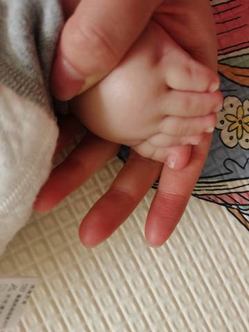 journal_insert_pic_1740893960