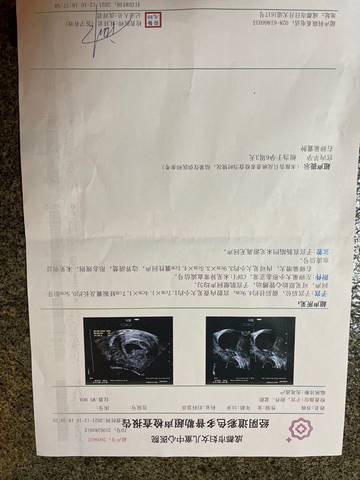 journal_insert_pic_1681626670