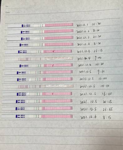 journal_insert_pic_1680126590