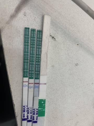 journal_insert_pic_1673410990