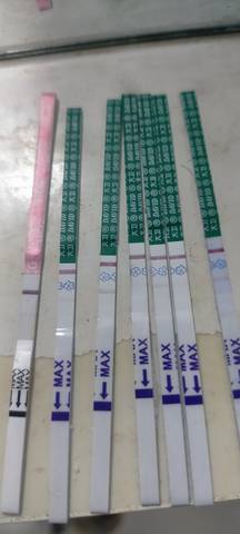 journal_insert_pic_1673161357