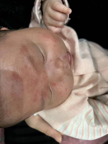 journal_insert_pic_1676226617