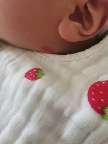 journal_insert_pic_1675400508