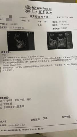 journal_insert_pic_1677313567