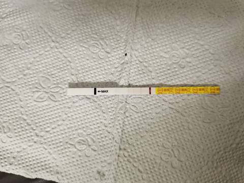 journal_insert_pic_1677069390