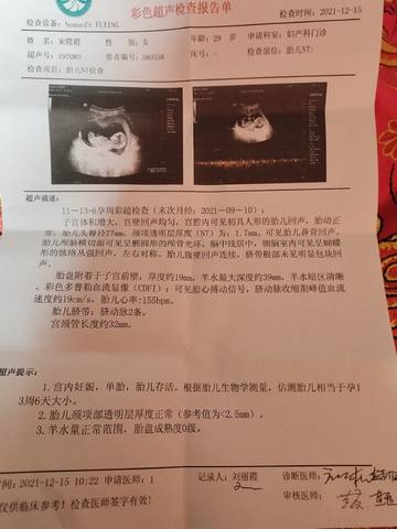 journal_insert_pic_1682474334