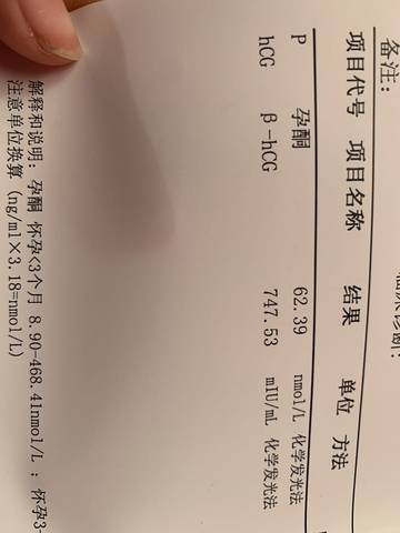 journal_insert_pic_1674181996