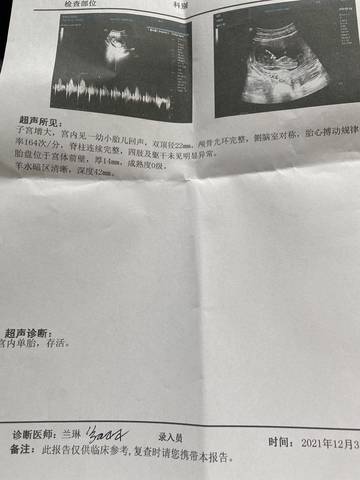 journal_insert_pic_1689601095